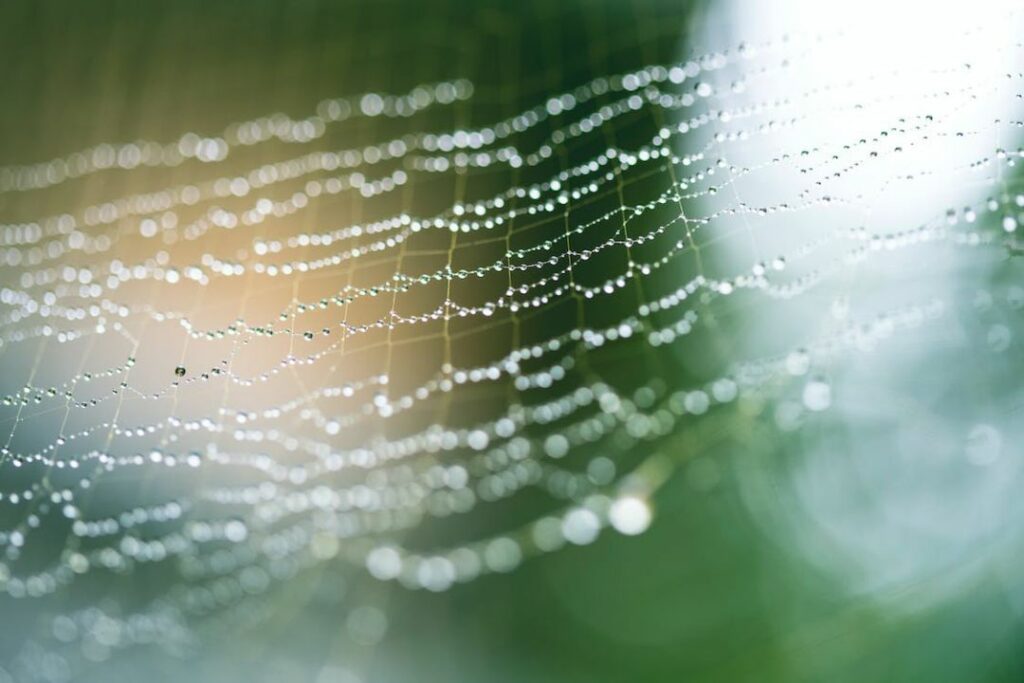 A close-up of a dewdrop-covered spider web glistening in soft, blurred green background light.
