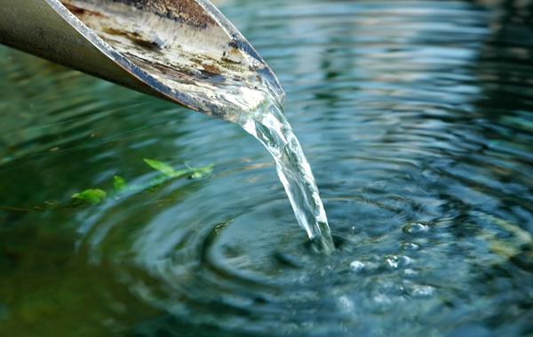 A wooden pipe discharges clear water into a rippling, reflective body of water, surrounded by green leaves.